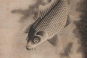 Fische & Muscheln