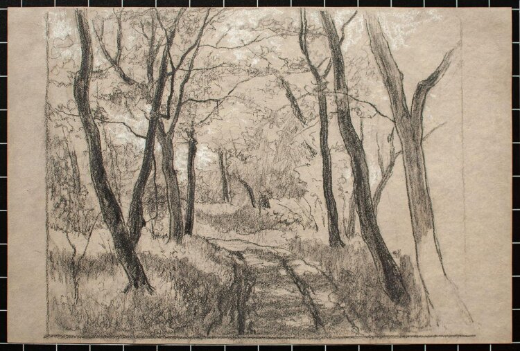 Unbekannter Künstler - Waldweg - Bleistiftzeichnung - o.J.