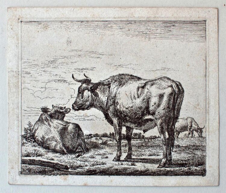 Adiaan van de Velde - Tierstudie Kühe, Stiere - o.J....