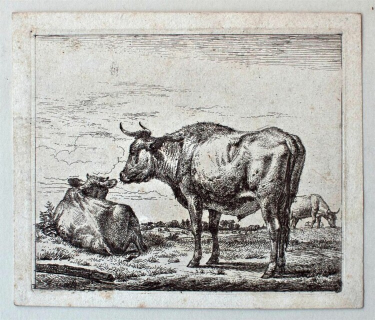 Adiaan van de Velde - Tierstudie Kühe, Stiere - o.J. - Radierung