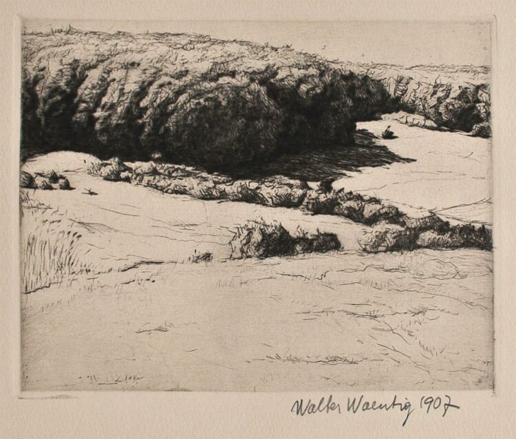 Walter Waentig - Buchenwald - 1907 - Radierung