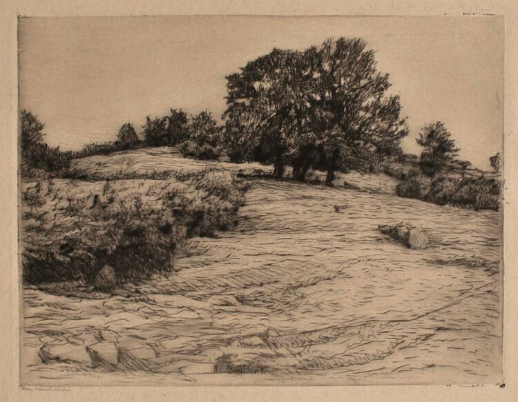 Walter Waentig - Landschaft - Radierung - o. J.