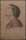 Philipp Otto Cornill - Frauenporträt - 1858 - Papier