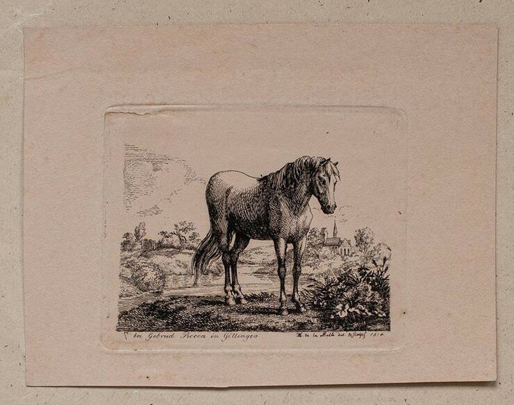 Friedrich de la Belle - Pferd - Radierung - 1814