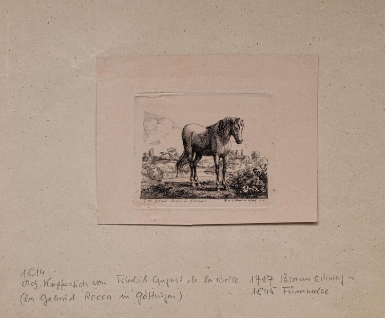 Friedrich de la Belle - Pferd - Radierung - 1814