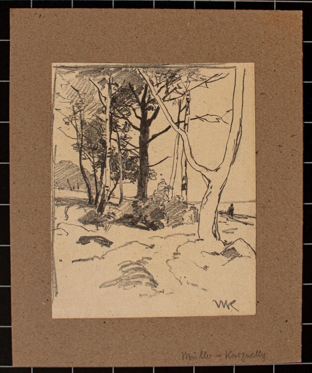 Konrad Müller-Kurzwelly - Bäume am Strand - o.J. - Bleistift