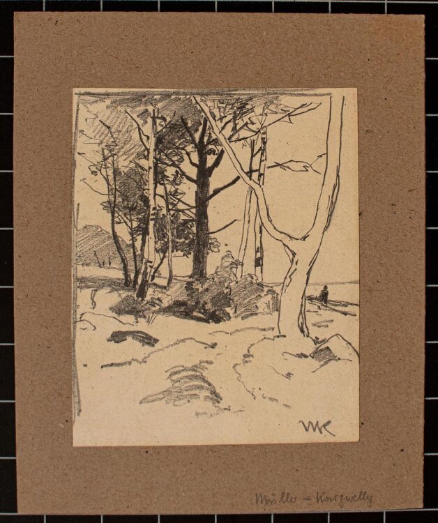 Konrad Müller-Kurzwelly - Bäume am Strand - o.J. - Bleistift