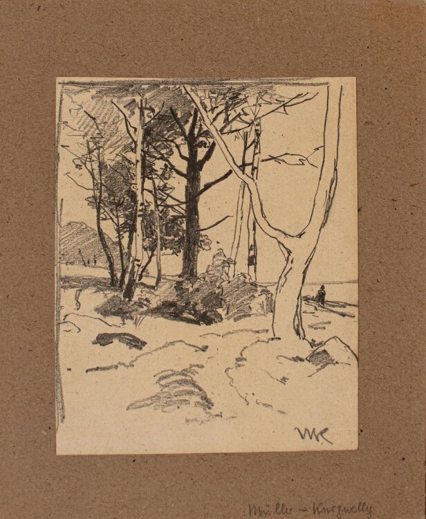 Konrad Müller-Kurzwelly - Bäume am Strand - o.J. - Bleistift