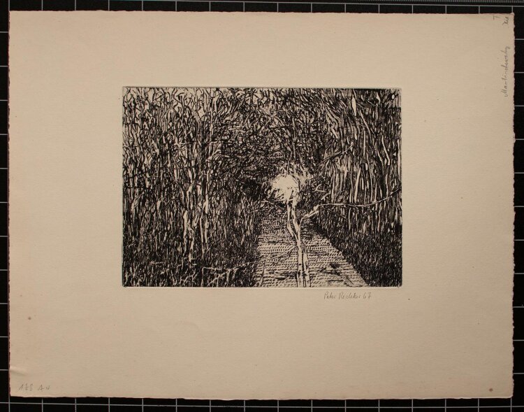 Peter Redeker - Waldweg - Radierung - 1967