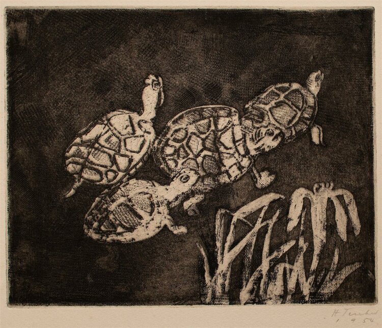 Hermann Teuber - Schildkröten - Radierung - 1954