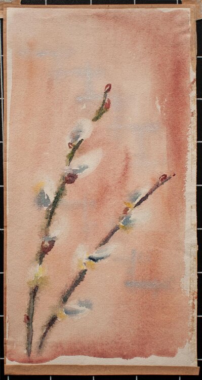 Unbekannter Künstler - Blühender Weidenzweig - Aquarell - o. J.