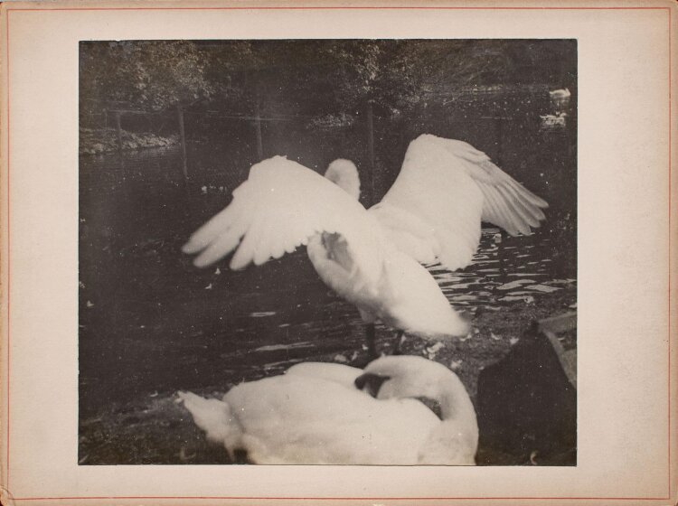 Clara Hesse - Ledermappe mit 14 Fotos - Fotografien - o. J.