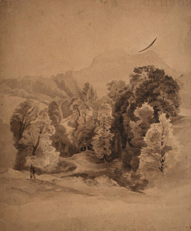Marie Hesse - Gebirge am Wald - lavierte Tuschezeichnung - o.J.