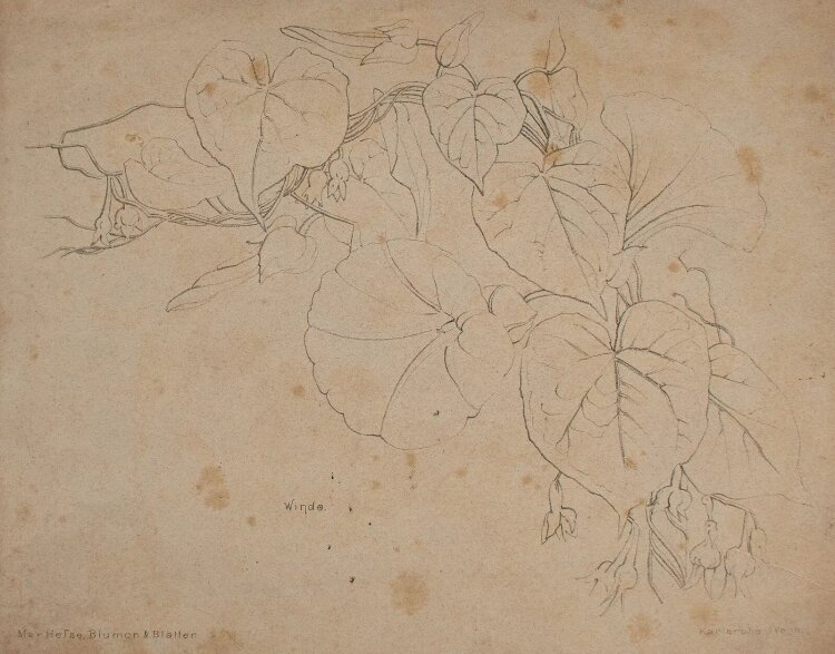 Marie Hesse - Winde - Lithographie - o. J.