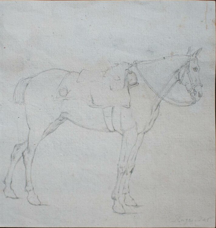 Georg Philipp Rugendas - Pferd, Studienskizze - Bleistiftzeichnung - o. J.