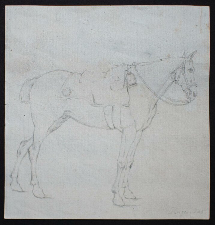Georg Philipp Rugendas - Pferd, Studienskizze - Bleistiftzeichnung - o. J.