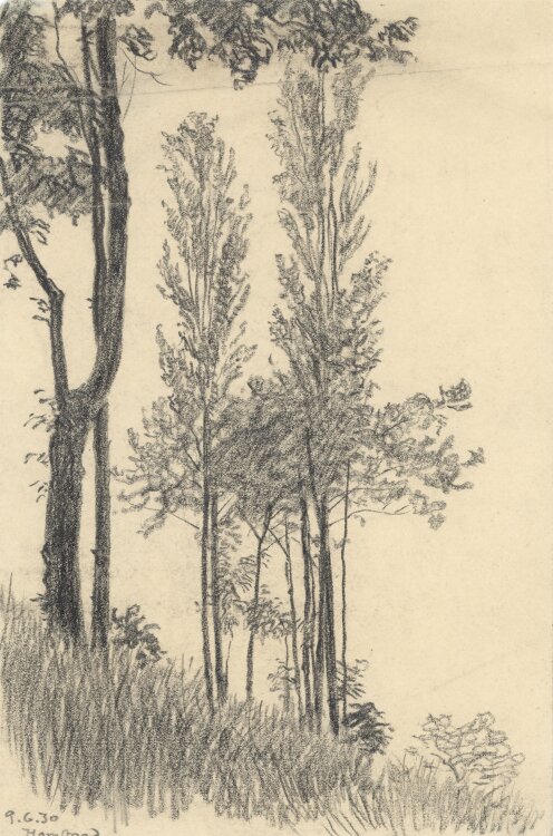 Wilhelm Danz -  Hornstaad - Bleistiftzeichnung - 1930