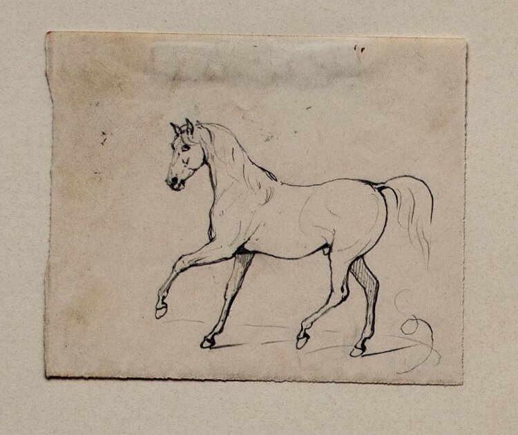 Unbekannter Künstler - Pferd - Miniatur-Bleistiftzeichnung - um 1800