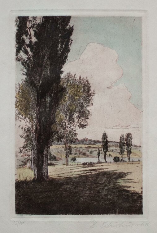 Hans Tiburtius - Landschaft - aquarellierte Radierung - o. J. - 15/100