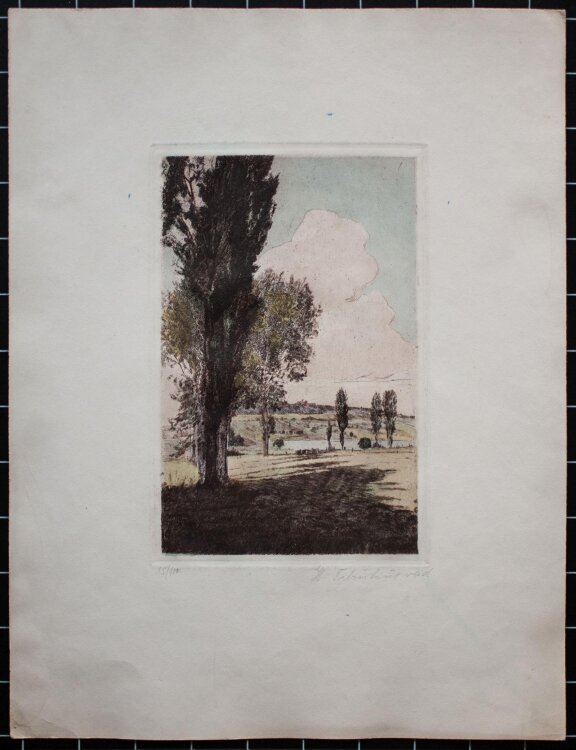 Hans Tiburtius - Landschaft - aquarellierte Radierung - o. J. - 15/100