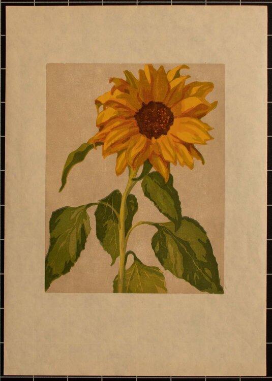 Ernst Rötteken - Kleine Sonnenblume -...