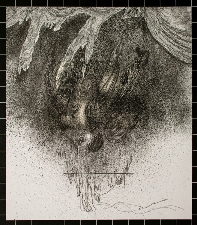 Anneli Schütz - Drop Dead - Lithographie - 2009