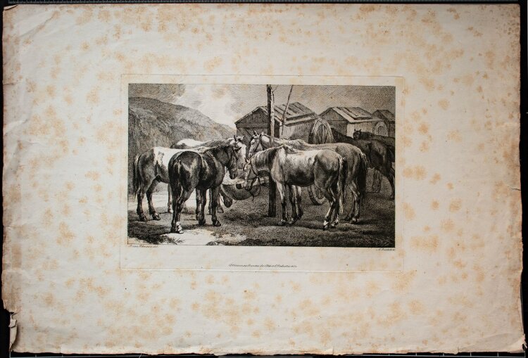Adam von Bartsch - Pferdetränke (nach van Bloemen) - Kupferstich - 1803