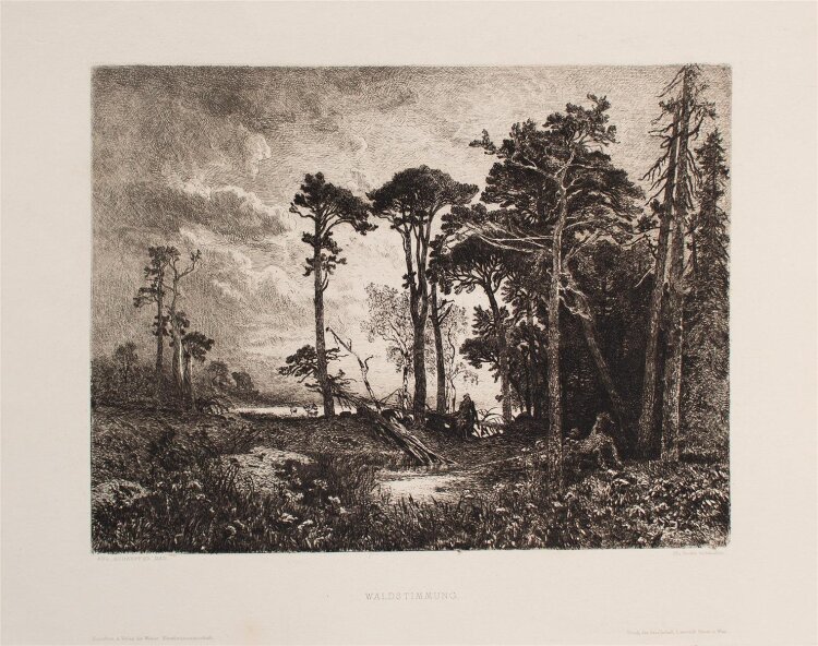 August Schaeffer von Wienwald - Waldstimmung - Radierung - 1890
