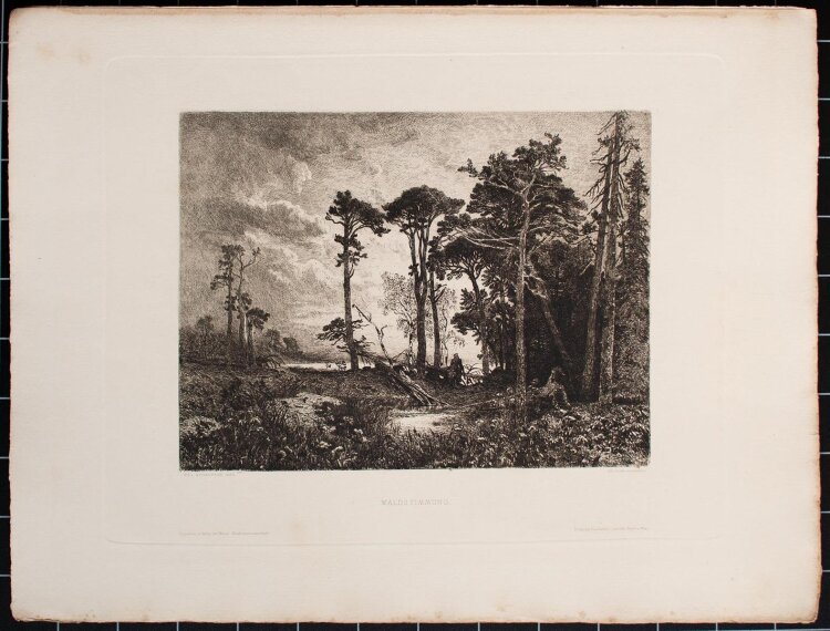 August Schaeffer von Wienwald - Waldstimmung - Radierung - 1890