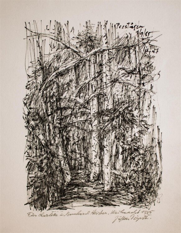 Unbekannt - Waldinneres - Offsetdruck - 1985