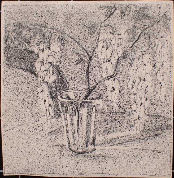Manfred Butzmann - Stillleben mit Goldregen - Ätzradierung - o.J.
