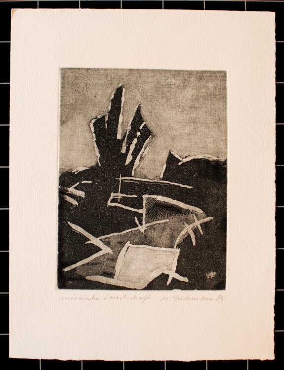 Martin Seidemann - Märkische Landschaft - Aquatintaradierung - 1983