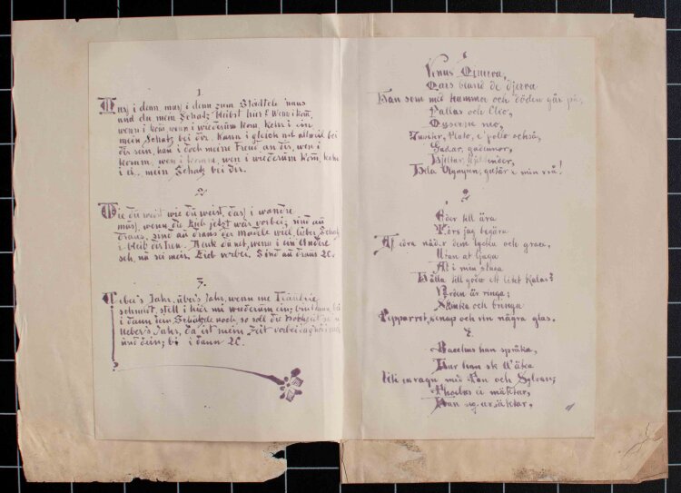 Studentenverbindung NORA - NORA Afskedskueine (Abschiedsküsse) - Zeichnung, Kalligrafie - 1884