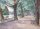 Unbekannt - Parklandschaft mit Fluß und Booten - 1885 - Aquarell