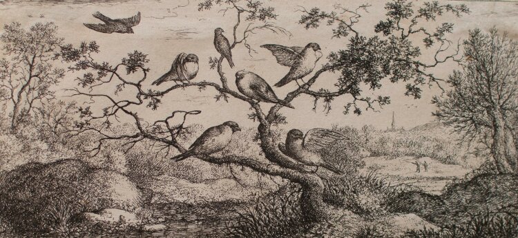 Albert Flamen - Vögel auf einem Baum - Kupferstich -...