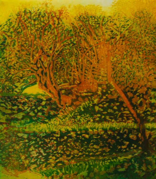 Helga Haas Wirth - Olivenbaum - Farbradierung - 2002