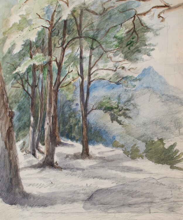 Unbekannt - Gebirgige Waldlandschaft - Aquarell - 1872