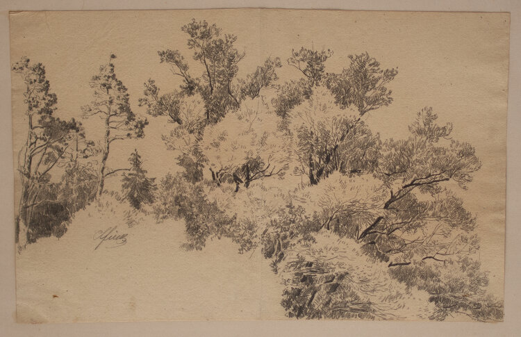Unbekannt - Baumlandschaft Studie - Bleistift - um 1860