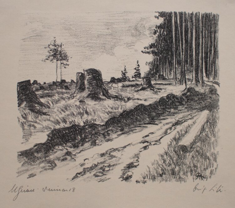 Margarethe Geibel - Waldlandschaft Thüringen - 1918 - Lithografie