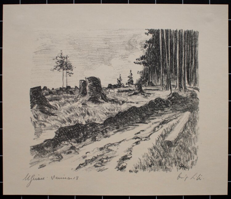 Margarethe Geibel - Waldlandschaft Thüringen - 1918 - Lithografie