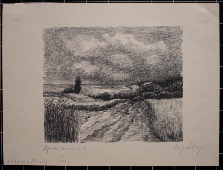 Margarethe Geibel - Aus Thüringen: Felder - 1916 - Lithografie