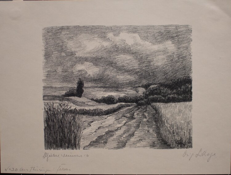 Margarethe Geibel - Aus Thüringen: Felder - 1916 - Lithografie
