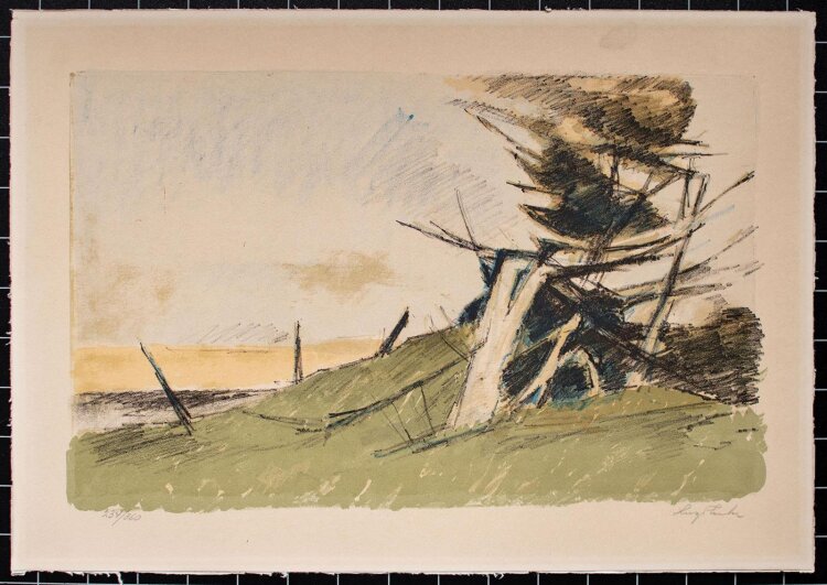 Hugo Zuhr - Landschaft - Lithographie - o. J. - 234/ 360