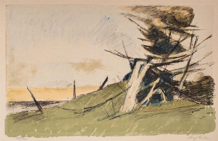Hugo Zuhr - Landschaft - Lithographie - o. J. - 234/ 360