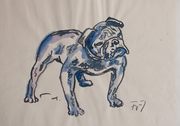 Fritz Zalisz - Bulldogge - o.J. - Aquarell/Tusche