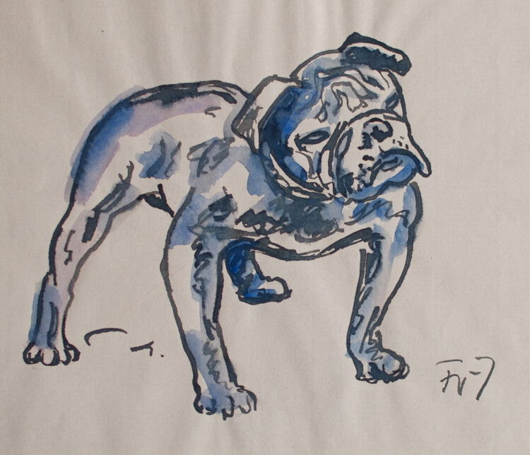 Fritz Zalisz - Bulldogge - o.J. - Aquarell/Tusche