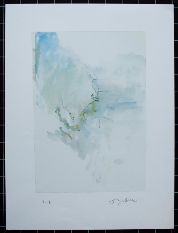 Thomas Kohl - Abstrahiertes Flußlandschaft - 2007 - Farblithografie