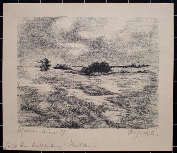 Margarethe Geibel - Aus Mecklenburg, Heideland - 1917 -...