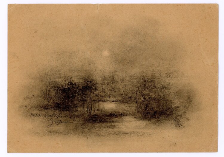 Willli Schmid - Waldlandschaft - o.J. - Bleistift, Kohle