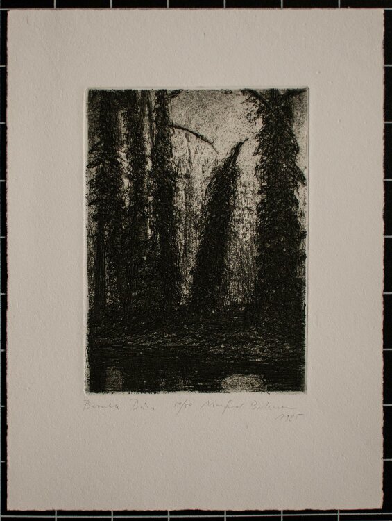 Manfred Butzmann - Berankte Bäume - Radierung - 1985 - 50/50